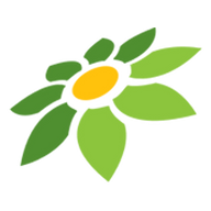 SENSA888